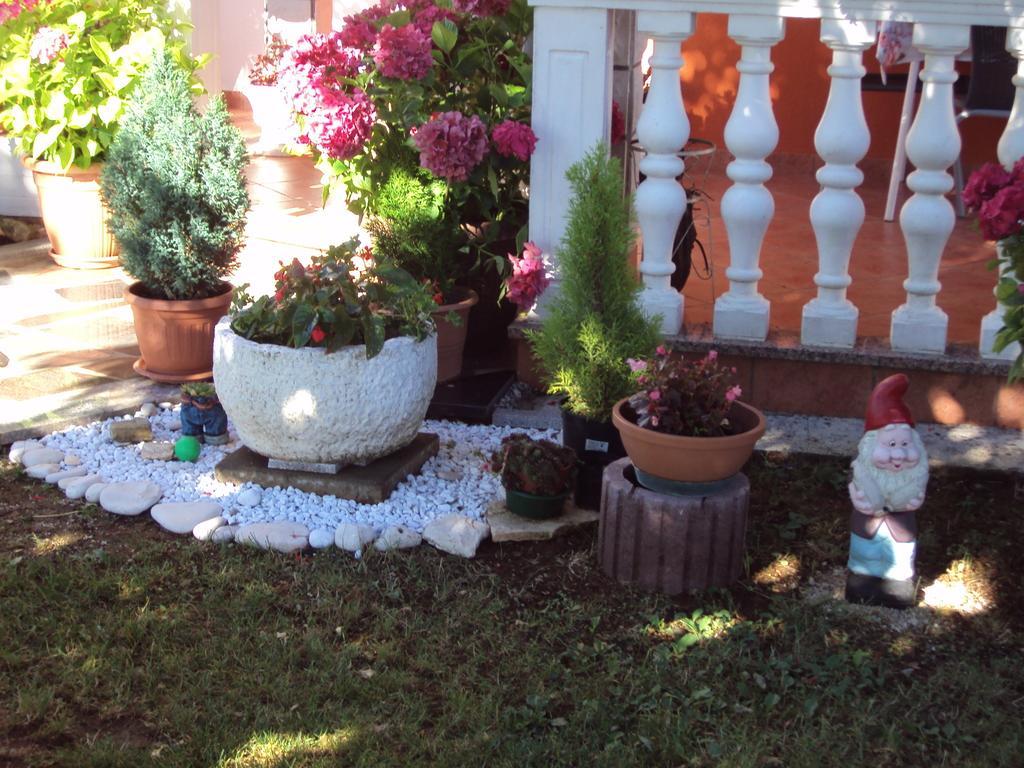 Apartment Gogo Umag Pokoj fotografie